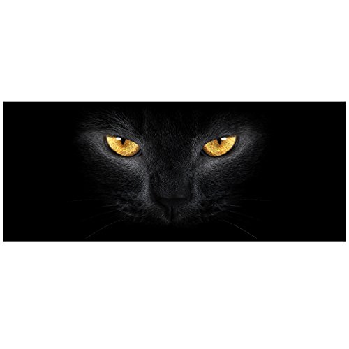 【50％OFF（半額）クーポン配布中】ロングマット キッチンマット ミステリアス 暗闇に光る猫の眼