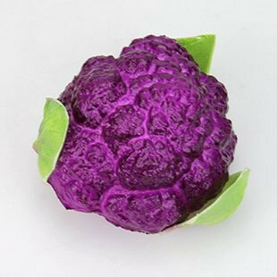 食品サンプル 紫 カリフラワー 野菜