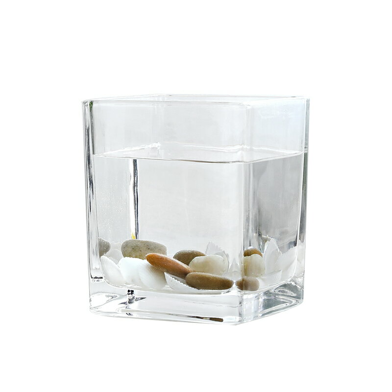 ガラス鉢 ミニ金魚鉢 角型 シンプル (大サイズ)