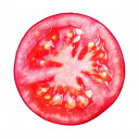 【50％OFF 半額 クーポン配布中】デザインマット 丸型 ベジタブル フレッシュな野菜 トマト柄 大 