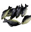 食品サンプル 模型 魚 大漁のフナ 8個セット (黒)