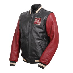 【送料無料★デグナー認定WEB正規代理店】 デグナー (DEGNER)★レザージャケット LEATHER JACKET 肩、肘、背中 プロテクター標準装備 ブラック-レッド 19WJ-17