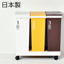 日本製 資源ゴミ横型3分別ワゴン ゴミ箱 ごみ箱 ダストボックス ふた付き おしゃれ 分別ゴミ箱 屋外ゴミ箱 スリムゴミ箱 キッチンゴミ箱 インテリア雑貨 北欧テイスト リビングゴミ箱 かわいいゴミ箱 デザインゴミ箱 生ごみ オムツ 見えない 収納 カウンター 3分別 アスベル