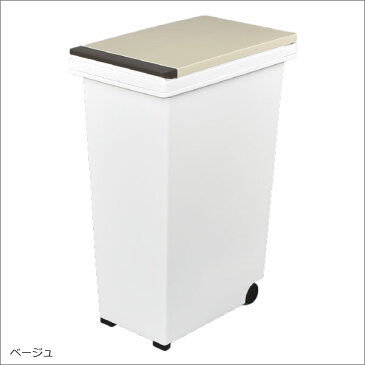 日本製 エバンプッシュペール 45L ゴミ箱 ごみ箱 ダストボックス ふた付き おしゃれ 分別 45L可 45リットル可 屋外 スリム キッチン インテリア雑貨 北欧 リビング くずかご 縦型 かわいい デザイン 生ごみ オムツ 見えない キャスター 薄型 大容量 ごみばこ アスベル ASVEL