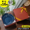 コスタノバ 食器 ギフトセット 【全16種】【当店限定ボックス】 プレート 器 ワンプレート サラダ ブレッド ディナー スープ&パスタ パン 皿 お皿 電子レ...