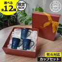 コスタノバ 食器 ギフトセット 【全12種】【当店限定ボックス】 マグカップ ティーカップ コーヒーカップ カップ&ソーサー おうちカフェ エスプレッソ 紅茶 ...