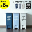 【全6種】ゴミ箱 45リットル 26L～45L スリム おしゃれ 分別 キッチン ダストボックス 臭わない 約幅20cm 約幅30cm …