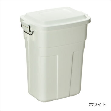 ゴミ箱 45L袋可 45リットル袋可 おしゃれ 30L 分別 ふた付き 蓋付き 蓋つき 大容量 約幅30cm 軽い 丈夫 角型 屋外 ダストボックス ごみ箱 日本製 インテリア雑貨 北欧 ゴミ袋が見えない ロック付き( 屋外ダストボックス 30L 2個セット )