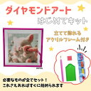 ダイヤモンドアートはじめてキット フレーム付き◆メール便無料◆ 初心者 丸いビーズ ビーズアート ダイヤモンドビーズ おしゃれ アクリルフレーム ペンギン 動物 絵画 風景 手芸 趣味 DIY 手作り 暇つぶし ニューノーマルブロック
