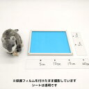 自分でつくろう!【ハムスターハウストレー小】 底 トレー ハウス おうち 寝床 寝室 隠れ家 ストレス発散 レイアウト自由 組み換え自由 透明 クリア ハムスター 小動物 ペット ニューノーマルブロック 送料無料(4)