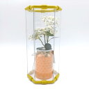 【フラワーケースチューブ medium225mm】 カバー クリアカバー お花 室内 飾り 透明 クリア 六角 おしゃれ インテリア デザイン性 チューブ 筒...