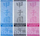 甲子園 令和4年 第104回 全国高等学校野球選手権大会 スポーツタオル　今治生産　日本製　大変貴重です。高校野球グッズ　応援グッズ　甲子園グッズ 聖望学園 九州学院 横浜 岩手 山梨 石川 岡山 愛媛 佐賀 山形 高知