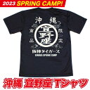 阪神タイガース球団承認沖縄　★宜野座Tシャツ☆　現定商品ドライメッシュSPRING CAMP 新登場！