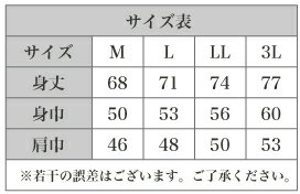 100回記念　全国高校野球選手権記念大会　元祖甲子園　Tシャツ　ドライメッシュ　本気の夏、100回目　大変貴重です。