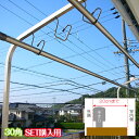 物干し竿2本以上を同時購入が必要:セット価格 特長ボルト 物干し台 ベランダ 手すり 固定型 サビ無い アルミ 30角 シャンパンゴールド色+取り付け金具付き(4つ穴6枚特長ボルト)左右2本1台分セット 【日本製】【メーカー1年保証】(3)