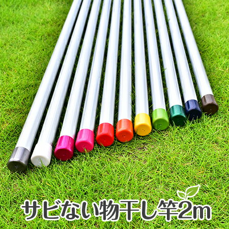 物干し竿 サビない アルミ物干し 30パイ 長さ2m シルバ色 キャップの色が選べる 屋外 屋内 ベランダに最適な 洗濯物干しざお 物干し【日本製】【メーカー1年保証】【自社名古屋工場製造商品】 物干し竿 サビない アルミ物干し 30パイ 長さ2m シルバ色 キャップの色が選べる 屋外 屋内 ベランダに最適な 洗濯物干しざお 物干し【日本製】【メーカー1年保証】【自社名古屋工場製造商品】