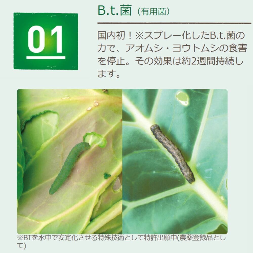 【在庫限り】KINCHO園芸 (旧:住友化学園芸) 殺虫スプレー ベニカナチュラルスプレ...