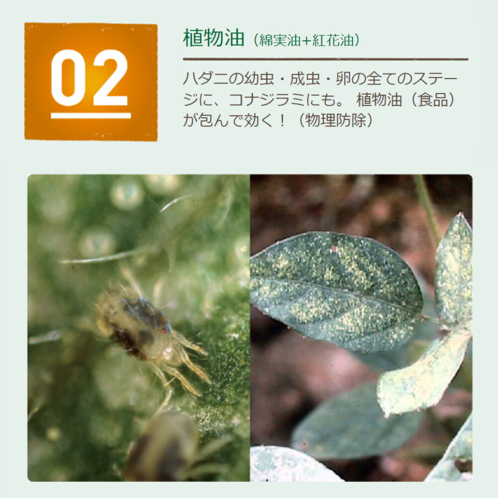 【在庫限り】KINCHO園芸 (旧:住友化学園芸) 殺虫スプレー ベニカナチュラルスプレ...