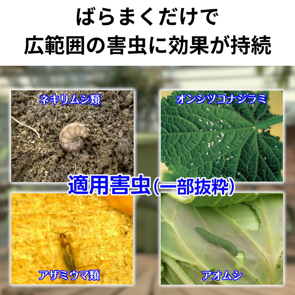 KINCHO園芸 (旧:住友化学園芸) 殺虫剤 家庭園芸用GFオルトラン粒剤 200g / 650g / 1kg / 1.6kg＜葉につく害虫・土の中の害虫を同時に防除＞◯ 3