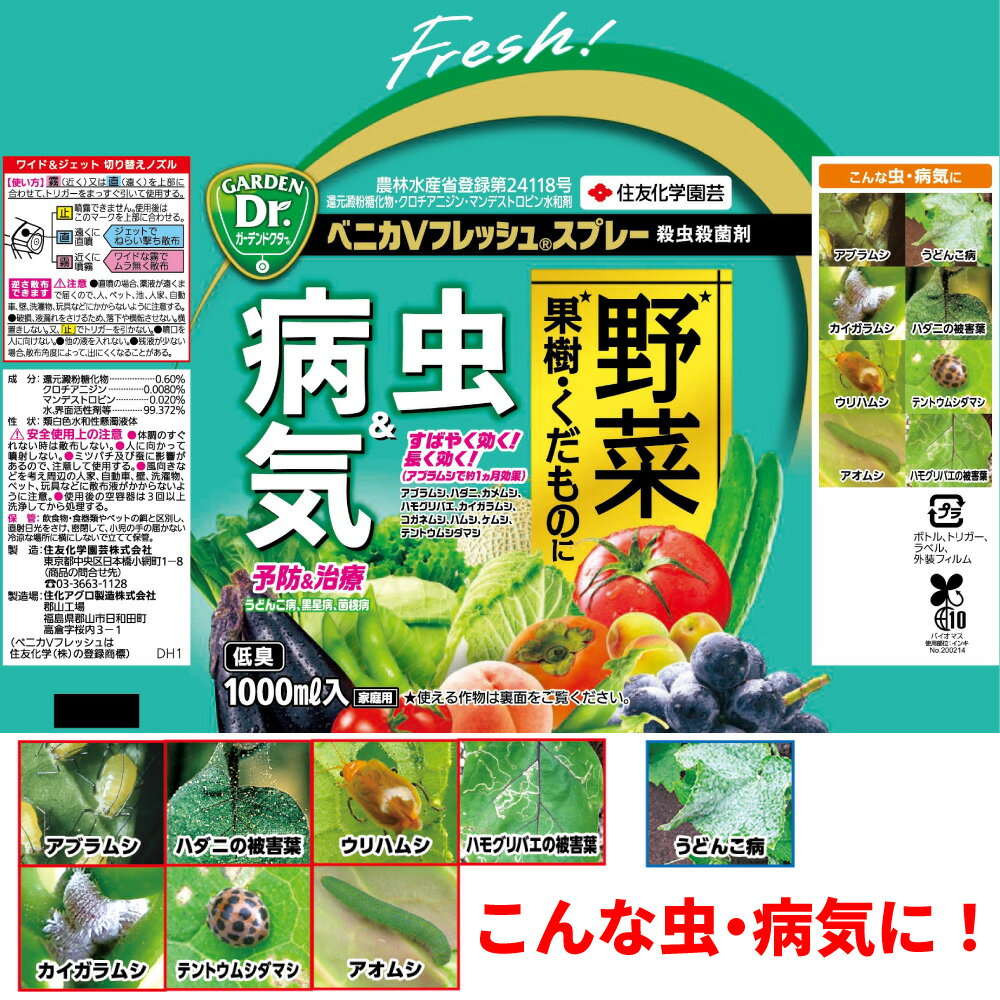 KINCHO園芸 (旧:住友化学園芸） 殺虫スプレー ベニカVフレッシュスプレー＜殺虫殺...