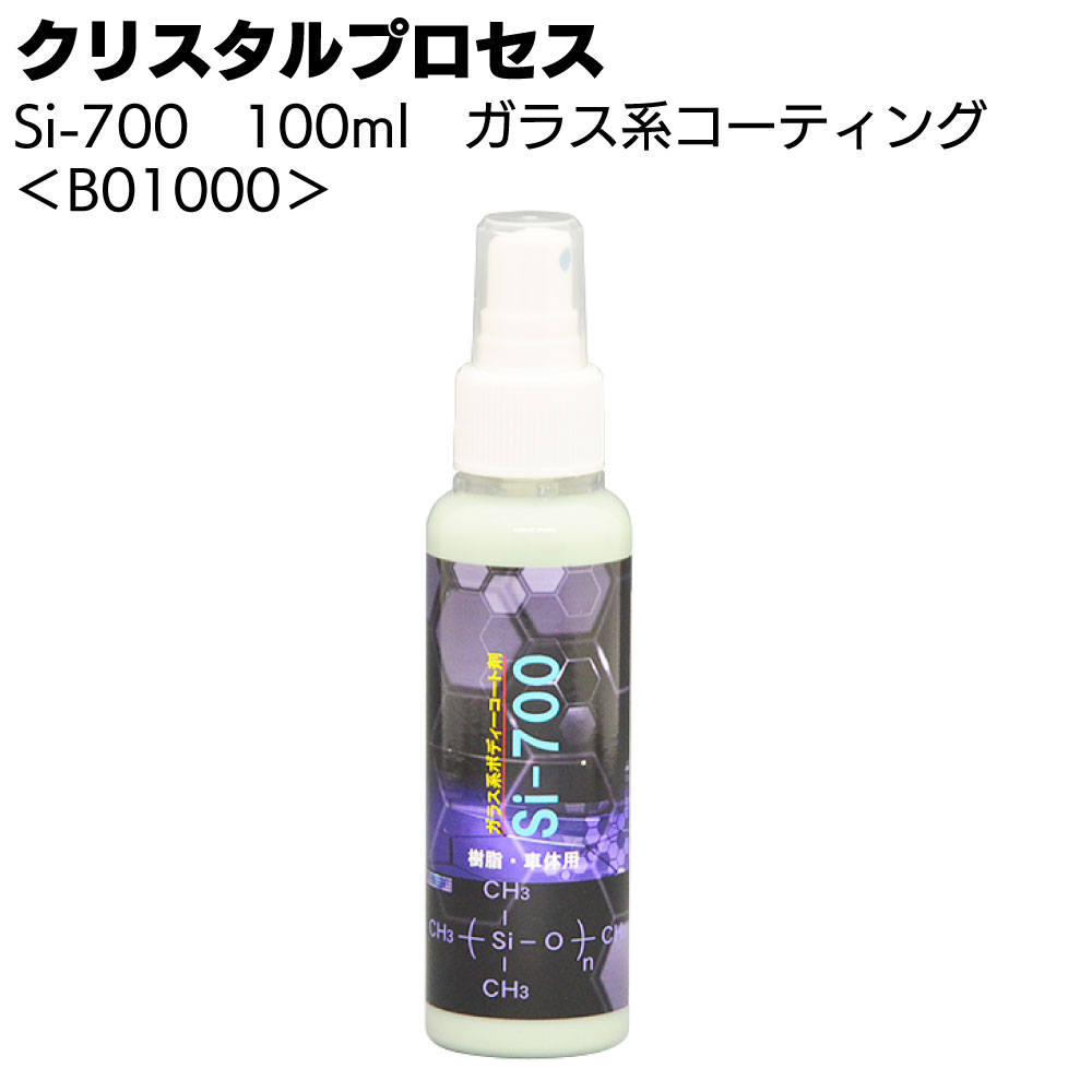 クリスタルプロセス Si-700 100ml ＜B01000・ガラス系コーティング＞【送料無料】