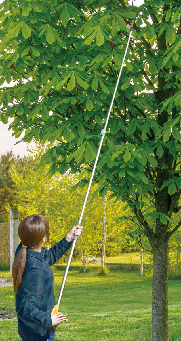 �ॵ�� �ؿ�3�ʼ�����ڤ�������ӥ�� 631���ݡ������ǥ˥󥰡������̵����