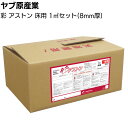 ヤブ原産業 彩 アストン 床用 1m²セット/箱<透水性天然石最密構造樹脂舗装材 ノンスリップ>【送料無料】