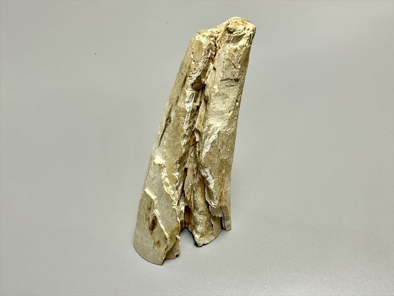 磨製石器 新石器時代 ホモサピエンス アフリカ サハラ砂漠出土 希少 実物 石器 F30
