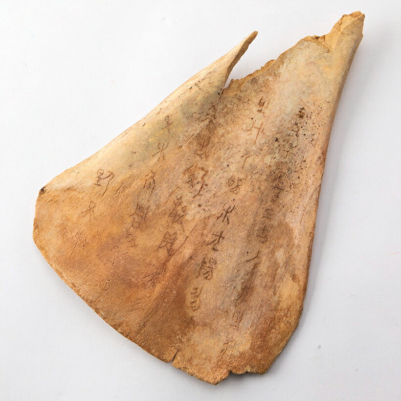 �ù�ʸ�������������������� ��ץꥫ 2�����å�