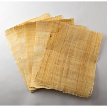 パピルス紙 5枚 パピルス 約A3サイズ 実物 古代エジプト メソポタミア文明