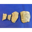 ナウマンゾウの牙1個・化石の破片3個　 旧石器時代　a3ー104