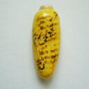 箸置き 焼きとうもろこし 1個 陶器【美濃焼】【定形外郵便発送可】;かわいい おしゃれ おもしろい モロコシ とうきび イホシロ窯 マスターズクラフト 焼きもろこし スイートコーン コーン 面白い