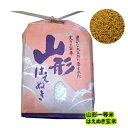 令和1年度　新米　減農薬　特別栽培米　山形産はえぬき　玄米10kg＝5kg袋×2 【送料無料】;