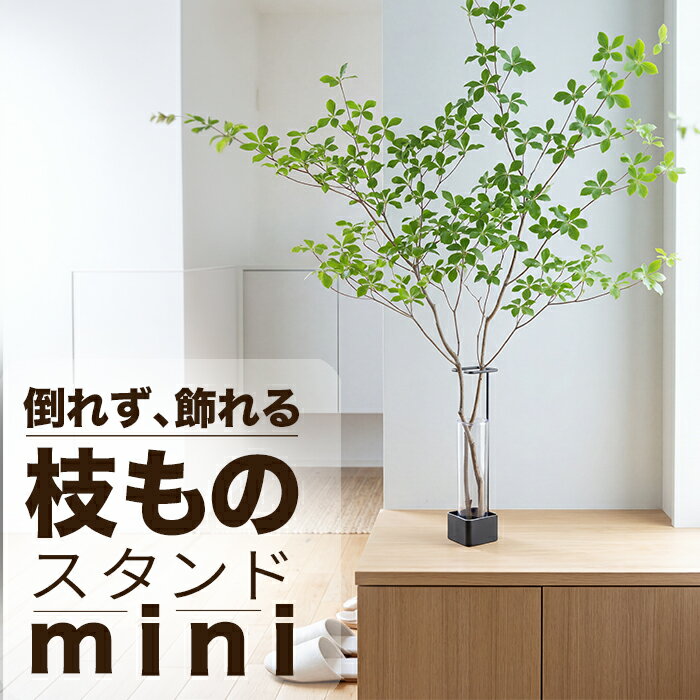 楽天市場】枝 スタンドの通販