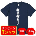 送料無料 【筋トレtシャツ 腹筋、板チョコ！】プレゼント 記念品 ギフト 　誕生日　退職祝　栄転祝　 親子ペア メンズ レディース キッズ