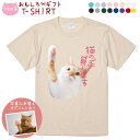 ペット 動物 おもしろ tシャツ Tシャツ オーダーメイド オリジナル プレゼント 犬 いぬ 愛犬 猫 ねこ メッセージ おしゃれ かわいい 面白い おもしろい【うちの子シリーズ おもしろTシャツ 猫の手貸します】