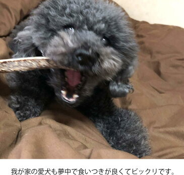 【 10cm 小型犬 縦割り 】鹿の角 半割り 犬 おもちゃ 無添加 おやつ エゾジカ 国産 鹿 角 ガム デンタルケア 小型犬 monolife