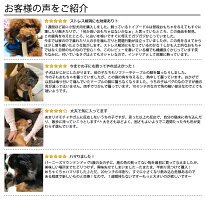 楽天市場 15cm 中型犬 鹿の角 犬 おもちゃ 無添加 おやつ エゾジカ 国産 鹿 角 ガム デンタルケア Monolife モノライフ 楽天市場店 楽天市場 15cm 中型犬 鹿の角 犬 おもちゃ 無添加 おやつ エゾジカ 国産 鹿 角 ガム デンタルケア Monolife モノライフ 楽天市場店