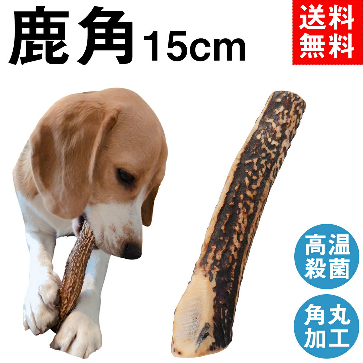 【大型犬用 2本セット】蝦夷鹿角ドッグガム　ガジガジ　GajiGaji　 北海道産 鹿の角 ペット用品 天然 無添加 国産 日本製 噛む犬のおもちゃ 硬い犬のおやつ　鹿の角 犬 噛む おもちゃ 犬歯石 鹿角 シカの角 ジビエ おやつ 餌　丈夫　エゾシカ角