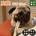 【 15cm 中型犬 縦割り 】鹿の角 半割