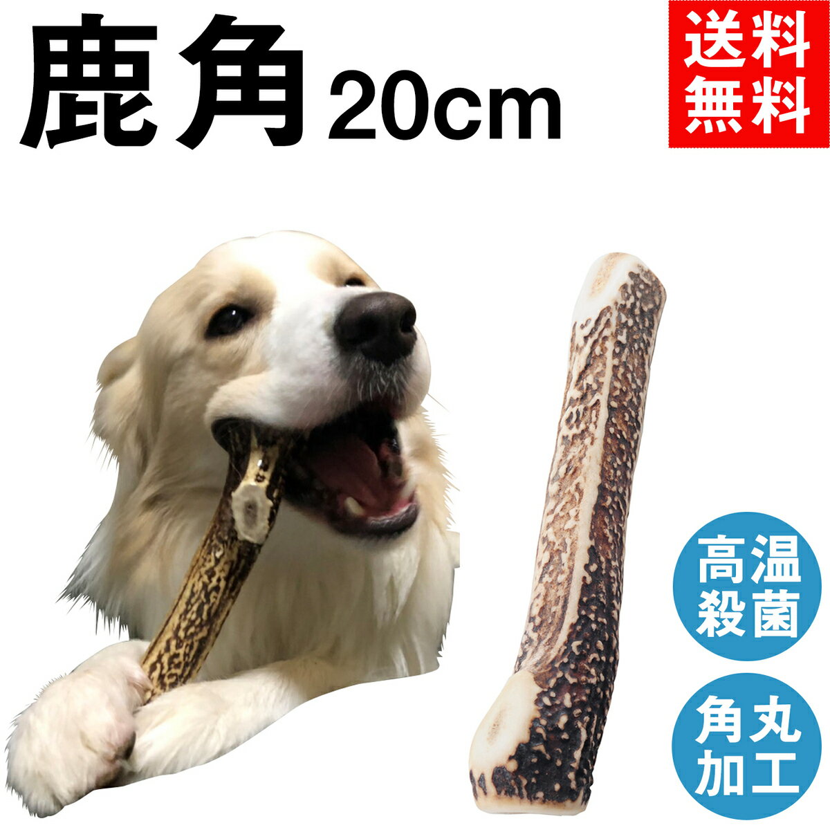 Nylabone ナイラボーン 鍵型 犬用 噛むおもちゃ 骨型 ボーン パピーチュー 不安 ストレス 解消 ベーコンフレーバー [Sサイズ] N220P