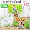 【LINEで簡単♪】7枚 オリジナル ポストカード 写真入り フォトアルバム 絵葉書 プラスチックケース付き おまけ 写真タテ 喜ぶ 両親 ファミリー 家族 孫...