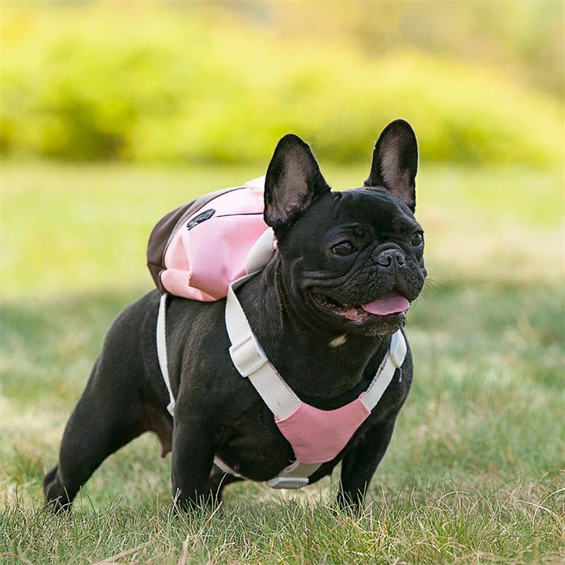 ペットバックパック 犬用 お散歩グッズ リュック バックパック 犬 バッグ リュック...