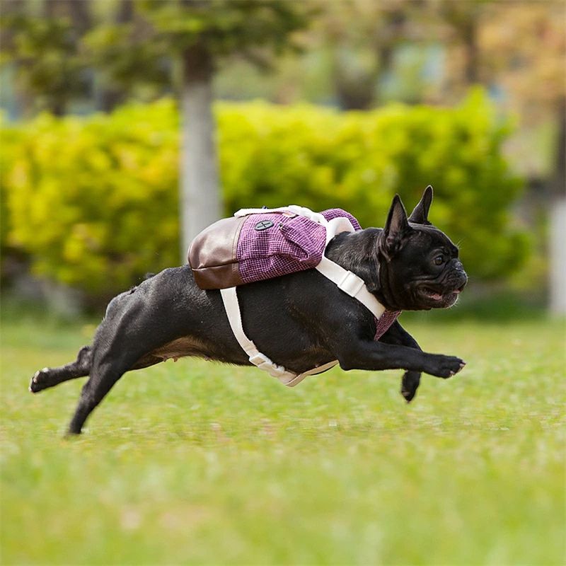 ペットバックパック 犬用 お散歩グッズ リュック バックパック 犬 バッグ リュック...