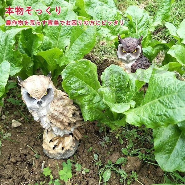 フクロウ 鳥よけ 鳩よけ 鳥対策 本物そっくり 樹脂 防鳥防獣対策 防鳥具 鳥よけグッズ 置物 オーナメント 装飾 ディスプレイ 風水 縁起