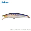 ジャクソン ピンテールサワラチューン 35g SNI 新鮮イワシ メール便配送可 