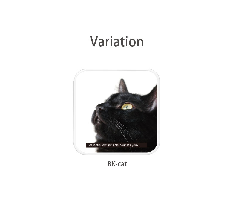 (100〜500円OFFクーポン配布中) BK-cat USB Type-C Type-A ACアダプター コンセント 2台同時充電可能 3.4A 高速充電 黒猫 ブラックキャット ねこ CAT タイプC タイプA アダプター 充電 電源 スマホ タブレット ゲーム機 かわいい