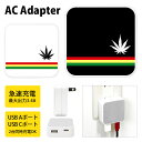 (5/3~5/6まで15%OFFクーポン配布) Reggae border USB Type-C Type-A ACアダプター コンセント 2台同時充電可能 3...