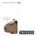 (5/9 20:00〜5/16 01:59 15%OFFクーポン配布) 【PSE適合品】 No12 Capybara 受注生産 急速充電 USB出力 リチウムイ...