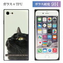 No211 BK-cat nCObV[ N^O iPhoneΉ KXP[X iPhone X iPhone8 iPhone7 X}zP[X ₷ KX Vv IV JCC ACtH8 iPhoneX L tHg  N[ L ˂ lR Aj} ΌKX 9H